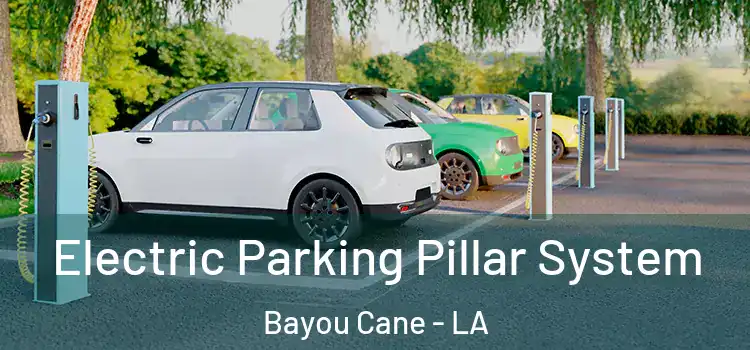 Electric Parking Pillar System Bayou Cane - LA