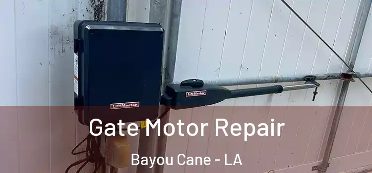 Gate Motor Repair Bayou Cane - LA