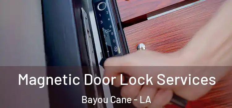 Magnetic Door Lock Services Bayou Cane - LA