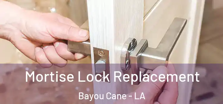 Mortise Lock Replacement Bayou Cane - LA
